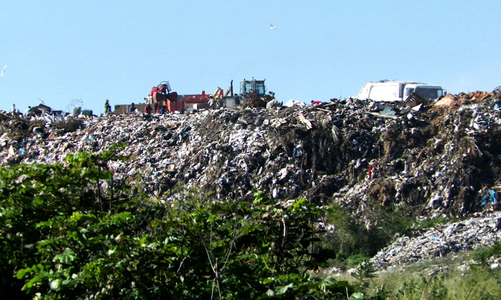 El gran paraíso de la basura es el vertedero de 100 y Boyeros (Foto: Jorge Carrasco)