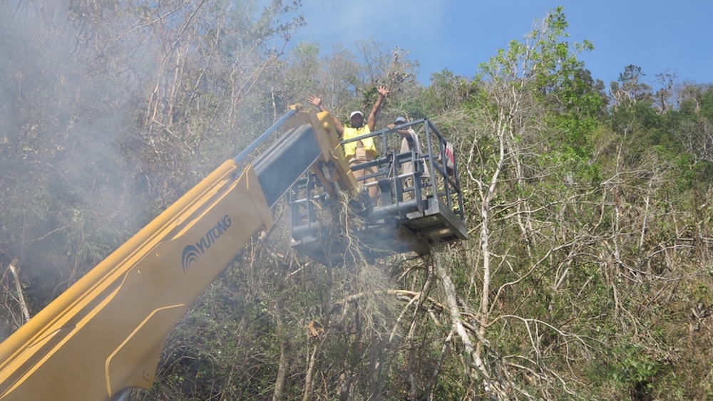 brigada-de-limpieza-2