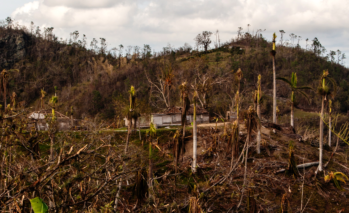 En las montañas que atraviesa La Farola los vientos dañaron casa y paisaje por igual (Foto: Julio Batista)