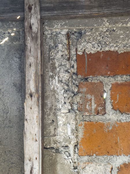 Ejemplo de cangrejera (Foto: Carlos Melián)