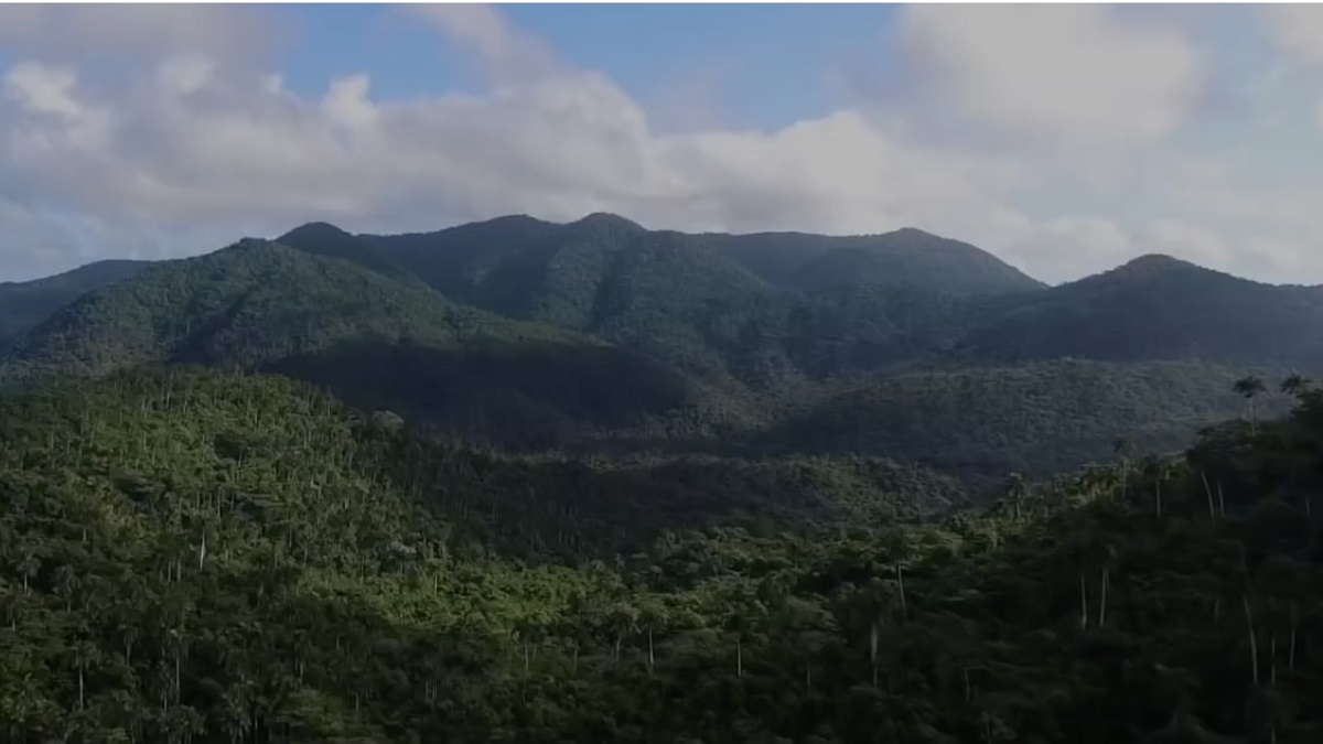 1 Especies amenazadas en Cuba 2019-07-12 a la(s) 1.48.37 p.m.