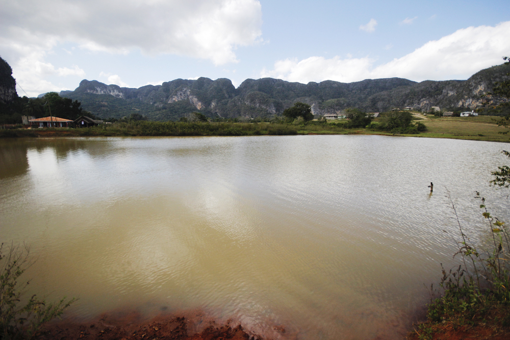 Tres miradas a la agricultura en Viñales