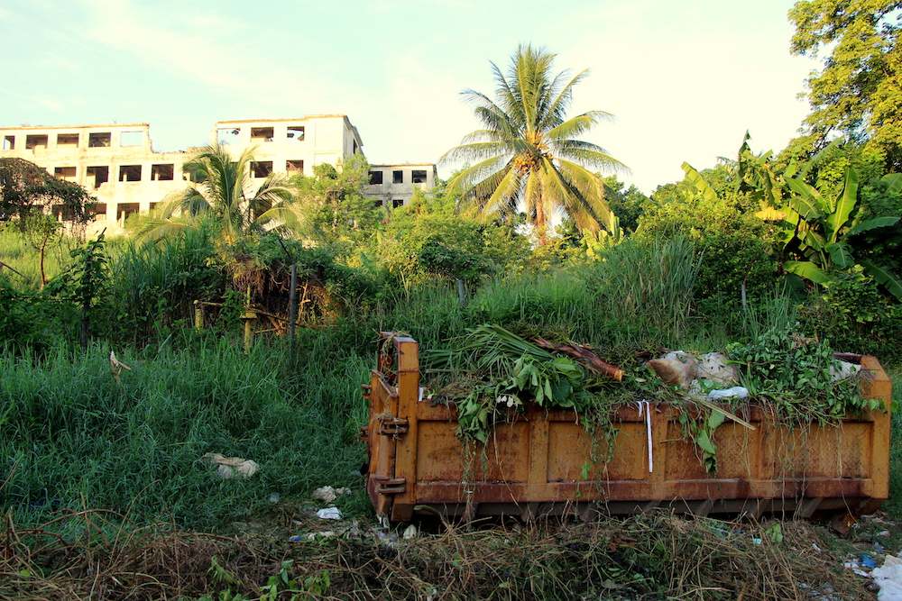 Pese al esfuerzo diario, a los vecinos de la comunidad les será muy difícil erradicar la presencia del caracol gigante africano (Foto: Hitchman Powell).