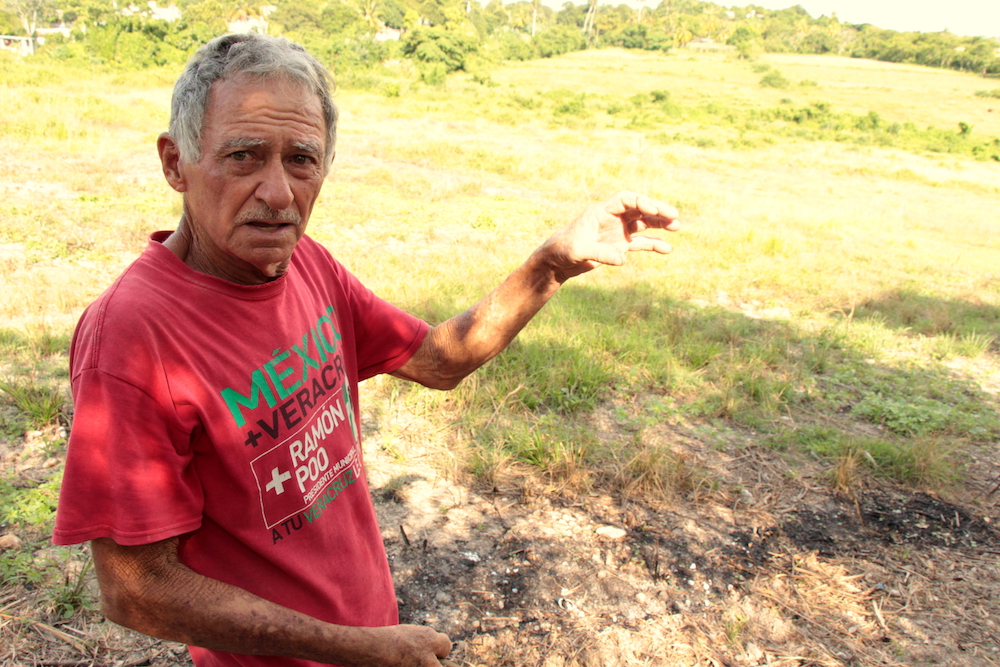 Herminio tiene que dedicar cada mañana a la recogida del molusco invasor (Foto: Hitchman Powell).