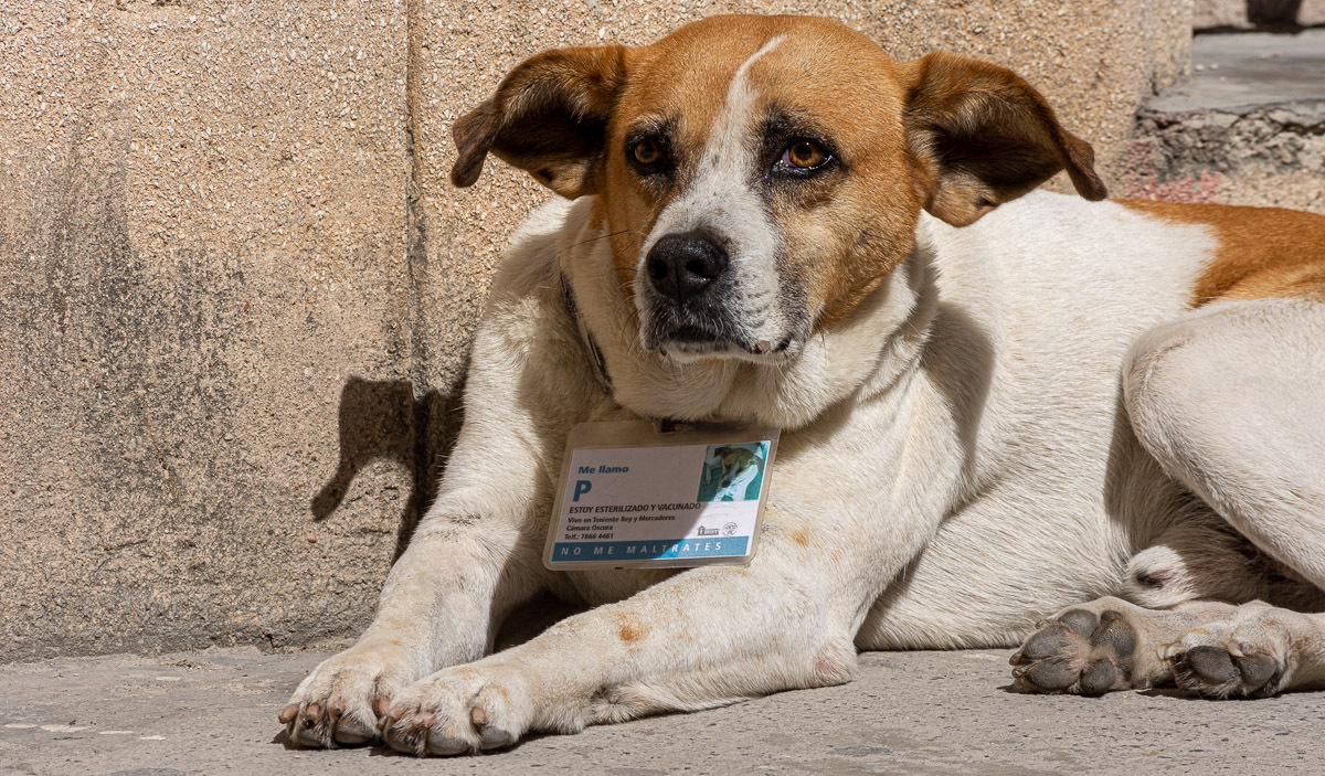 Foto: Sadiel Mederos