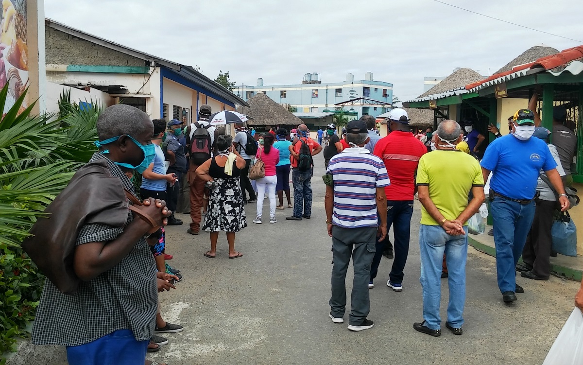 Foto: Jesús Arencibia Lorenzo.