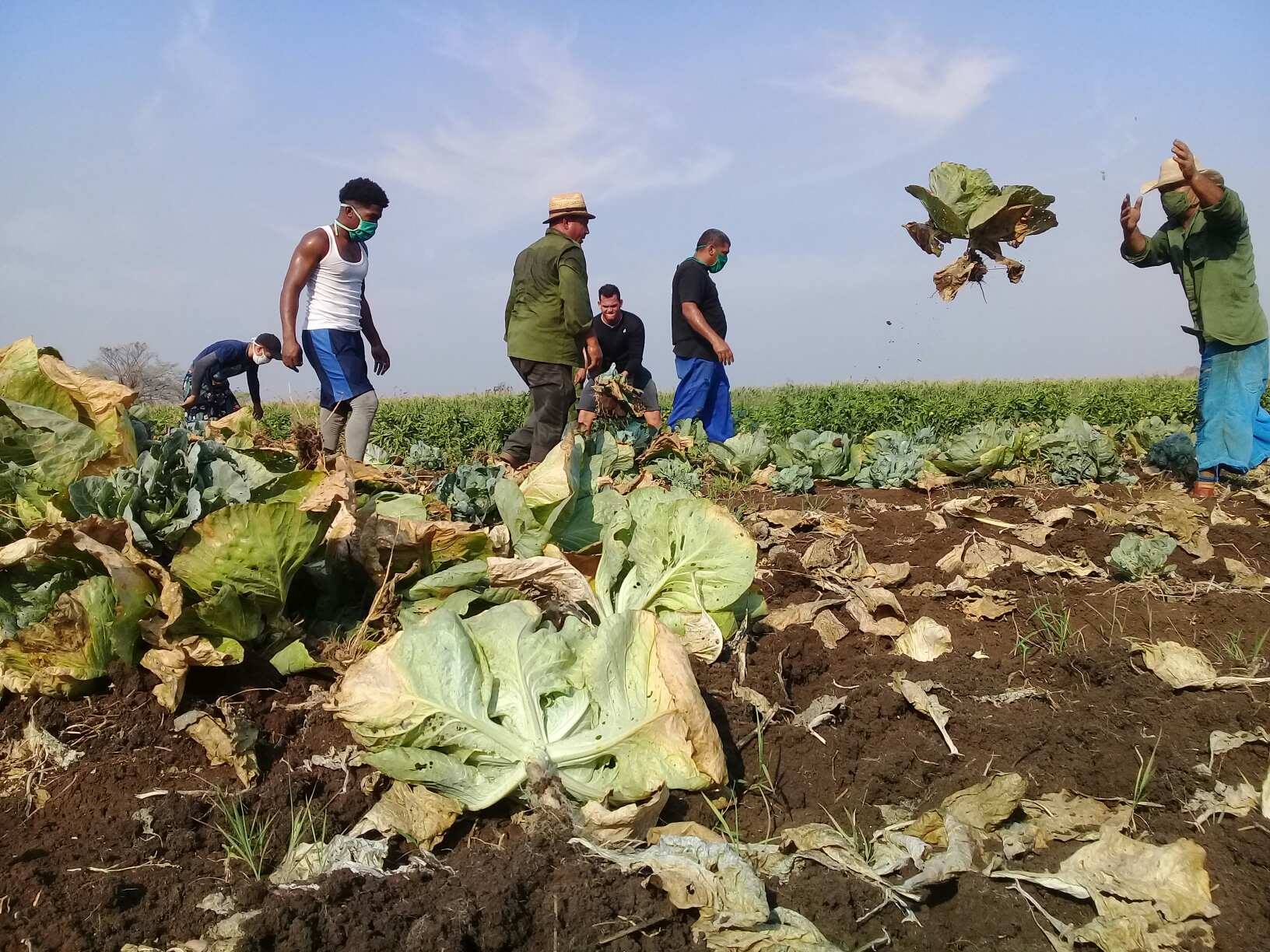 Foto: Lisandra Medina.