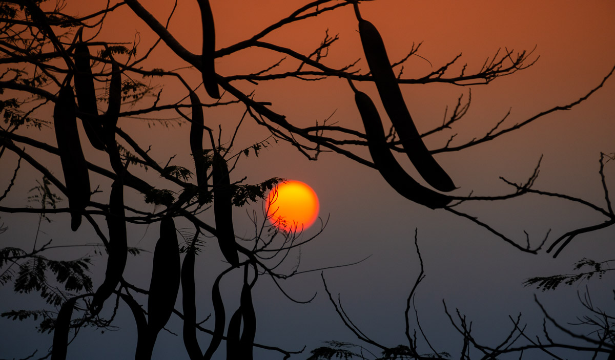 Desde mi ventana_Portada