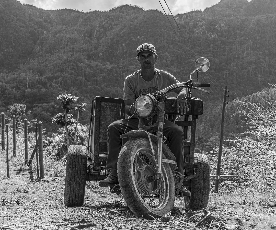 Portada_Los Bermejales