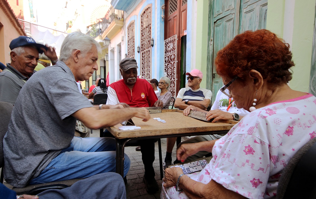 Arte Corte_Alba León