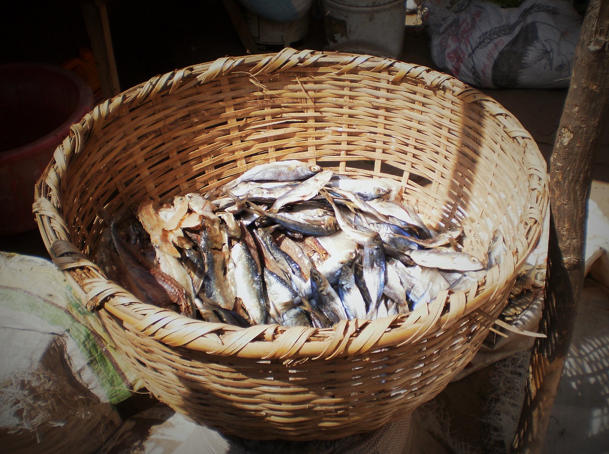 Cesta de pescado en el mercadillo_Portada