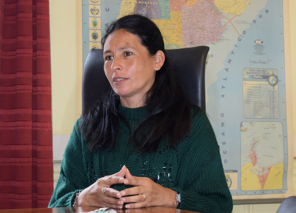 María Castillo, directora nacional de Reciclado: “En las cooperativas hacemos mucho más que valorizar residuos. En el trabajo también se abordan la violencia de género, el trabajo infantil, las adicciones”. Foto: Matías González.