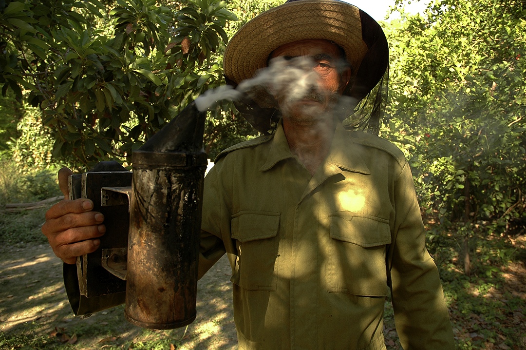 4 Humador criollo_Portada