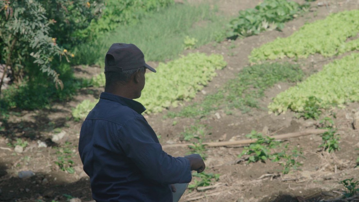 Tierra de dos_Portada