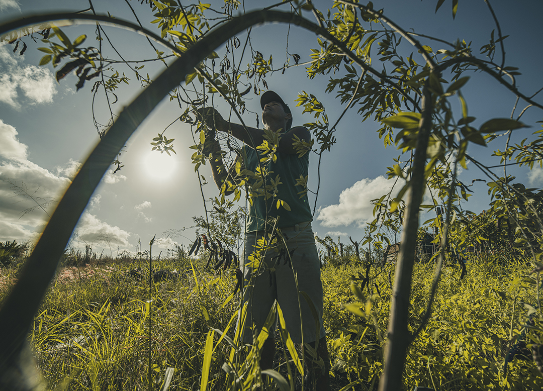 3 El hijo de la tierra_Portada