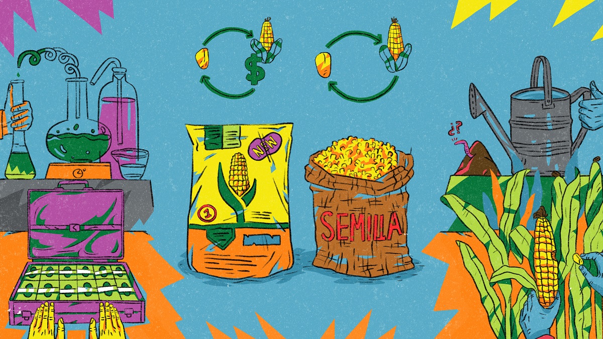 Historieta Transgénicos_Portada Web