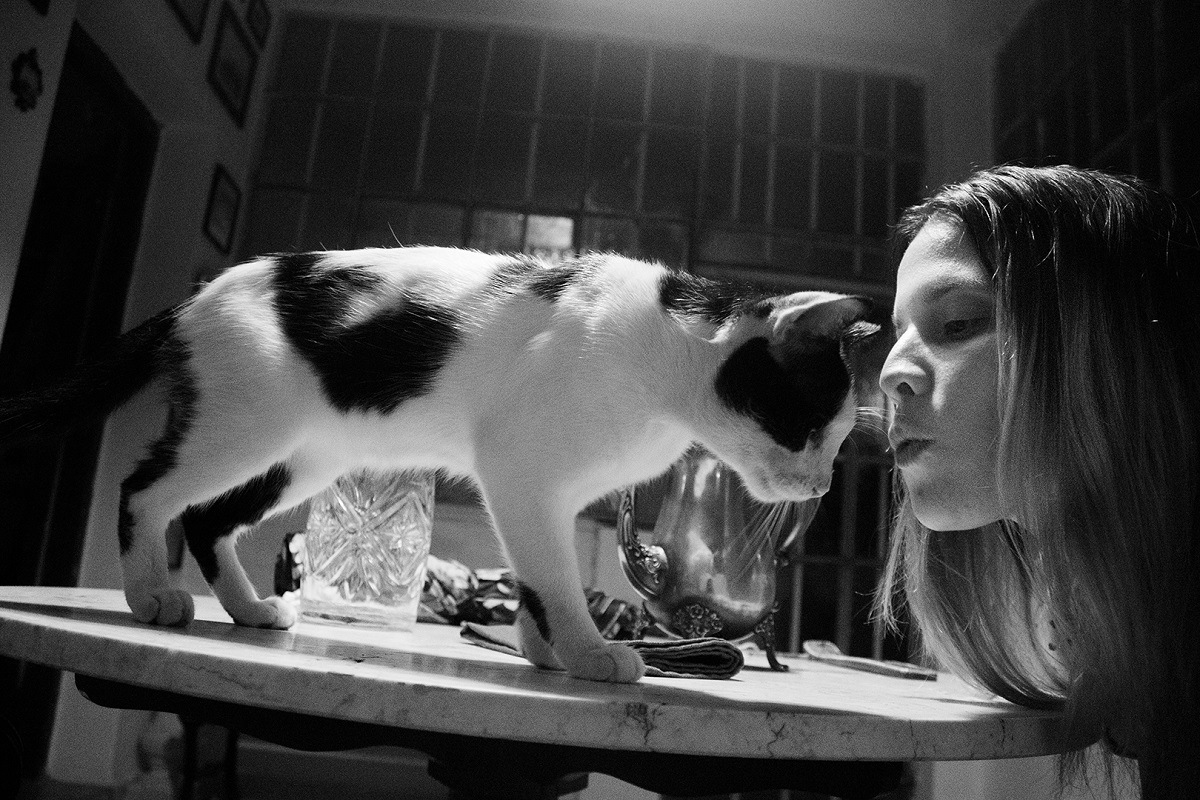 9 Talía y el Gordo portada