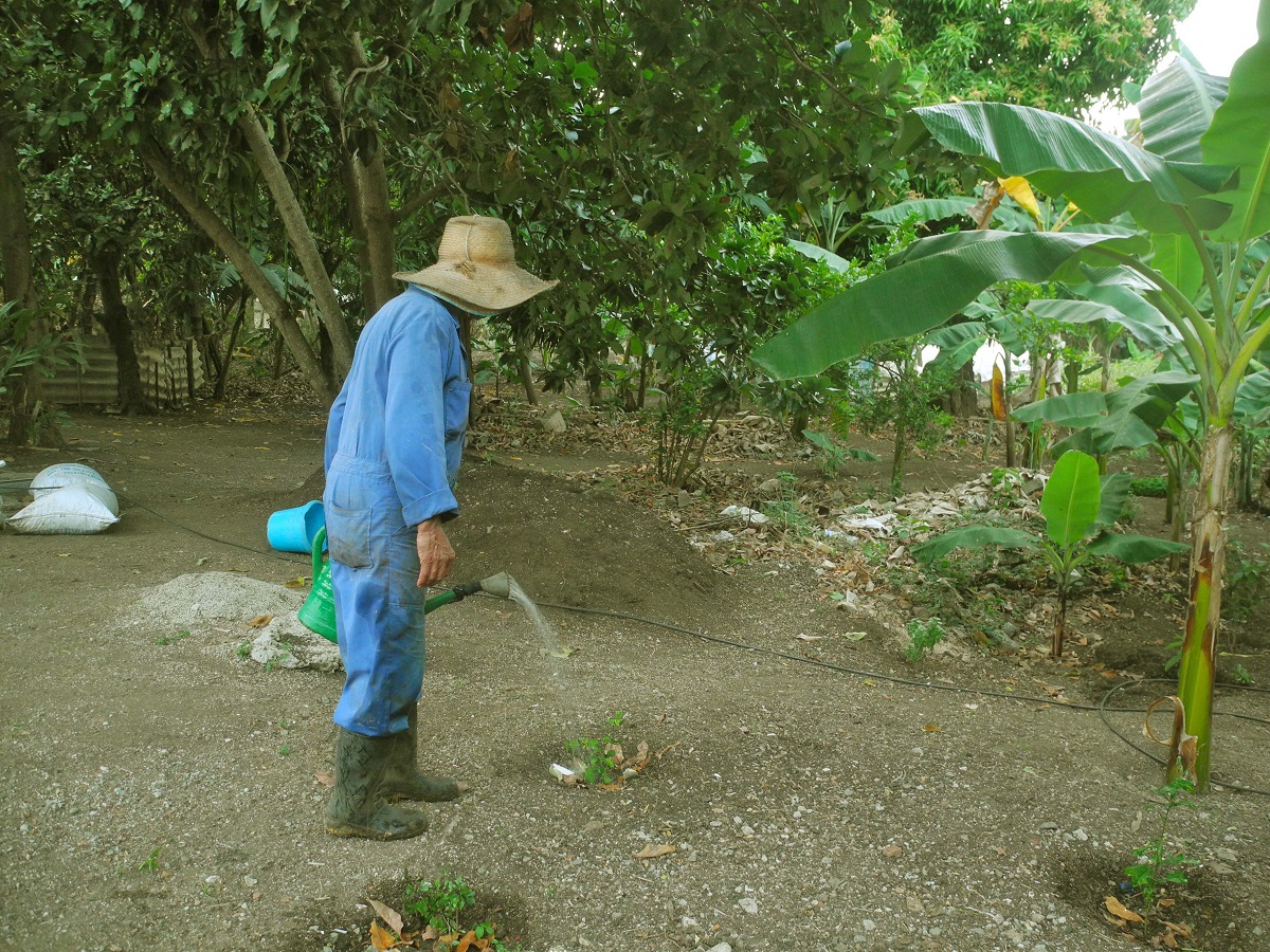 Foto 16 Agricultor Suelo