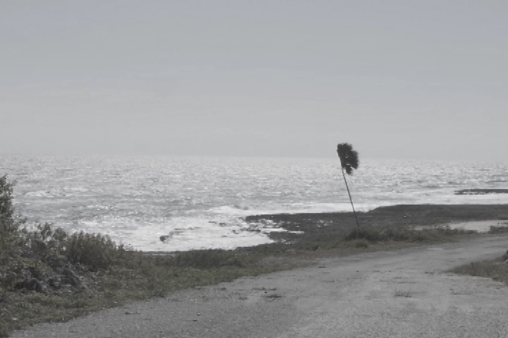 María Lucía Expósito Glez 1