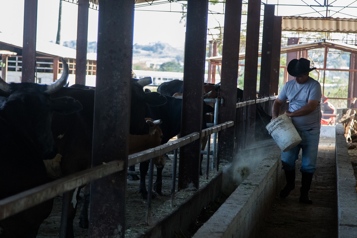 Foto: Ismario Rodríguez.