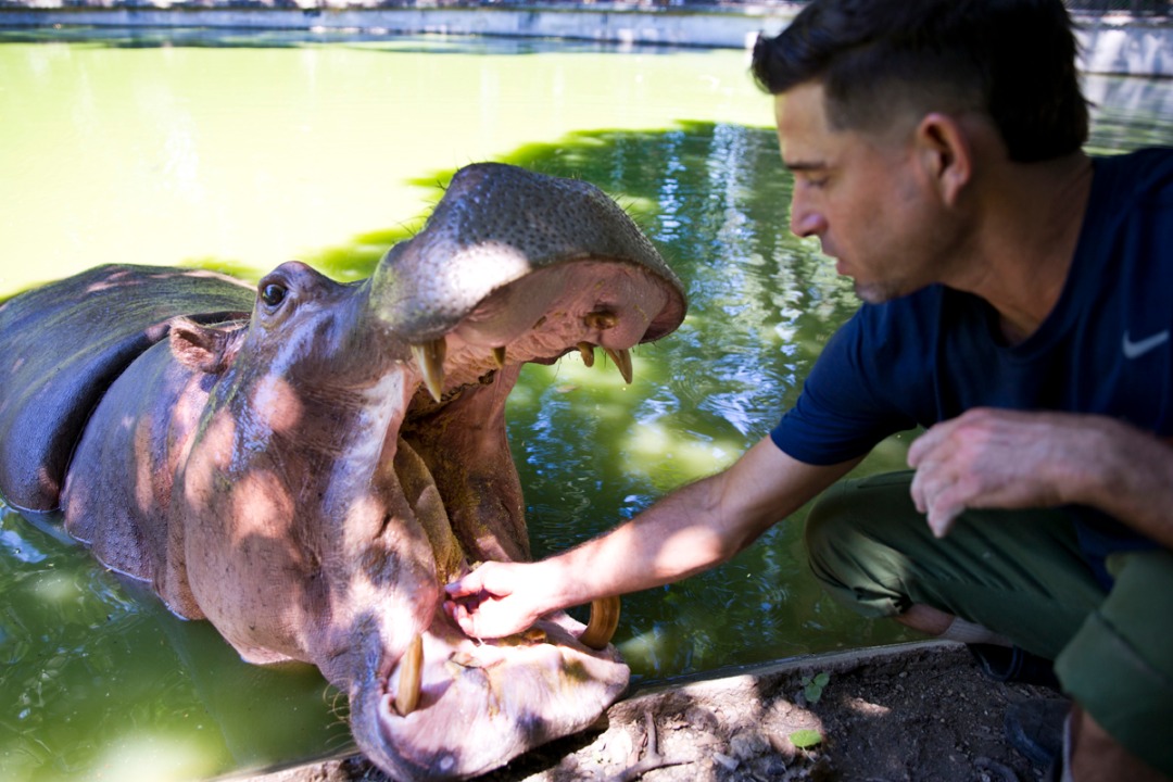 4 Zoológico_portada