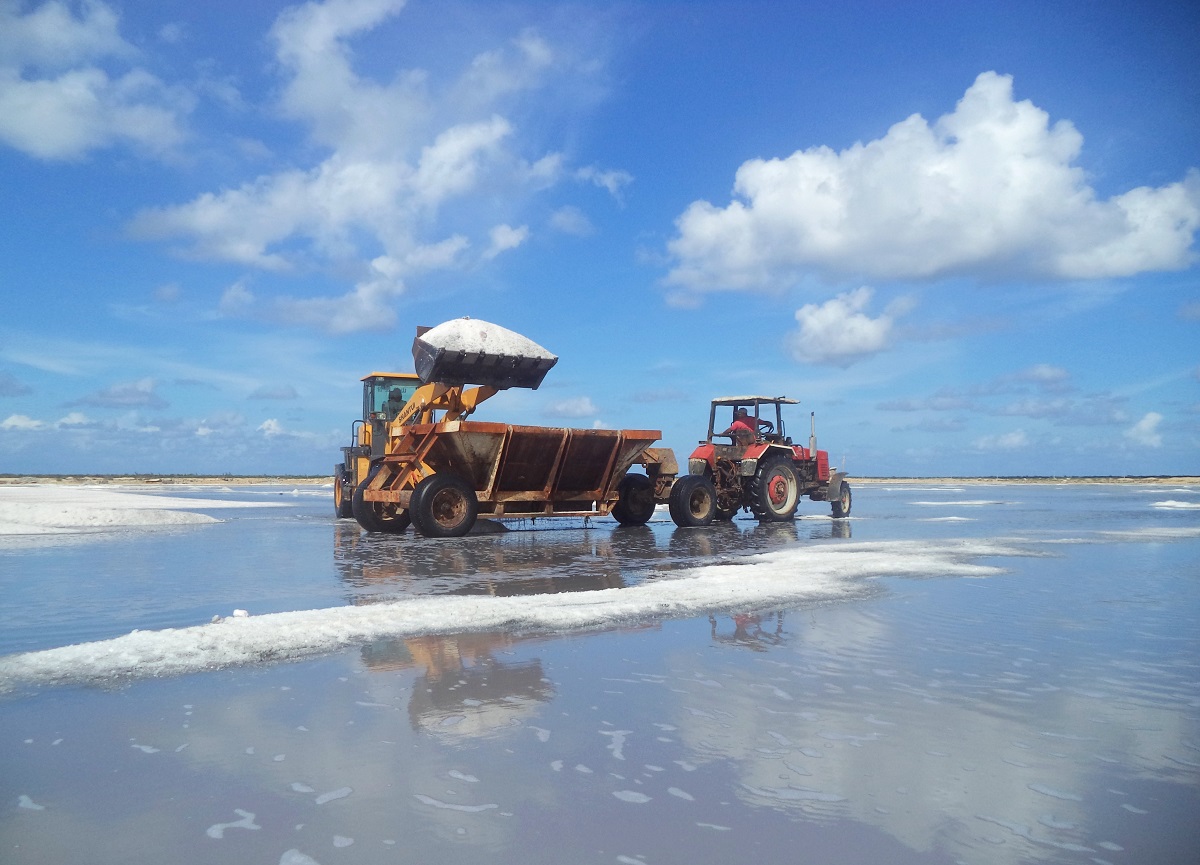 2 Salinas cubanas_Portada