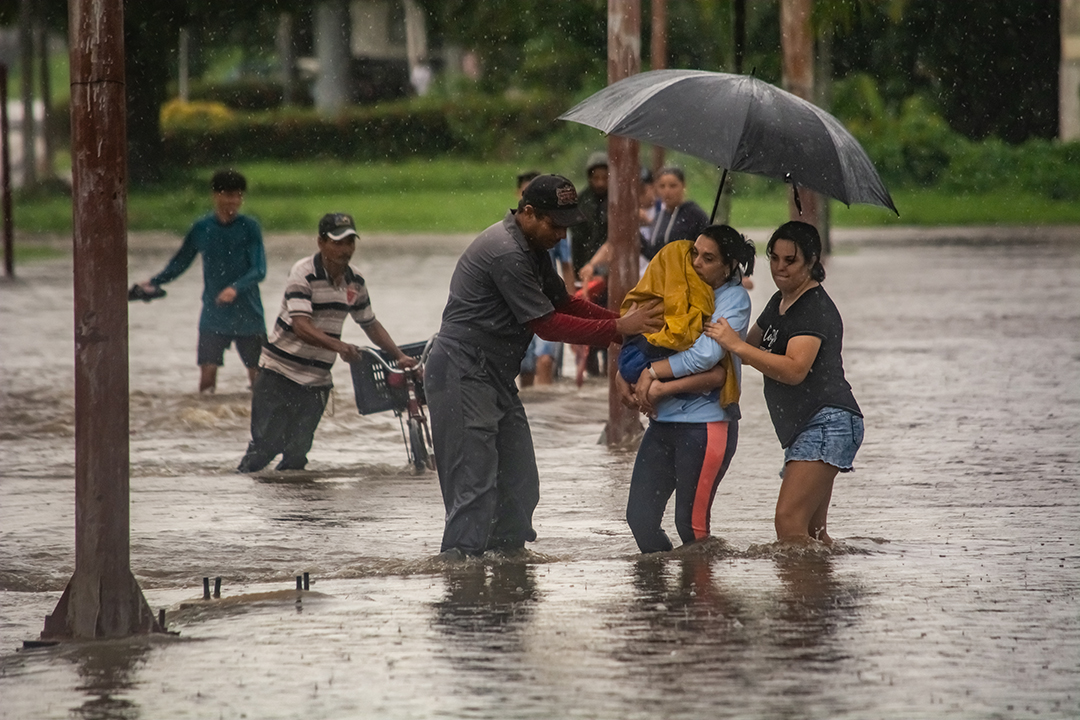 8_ Diana Ros_Portada