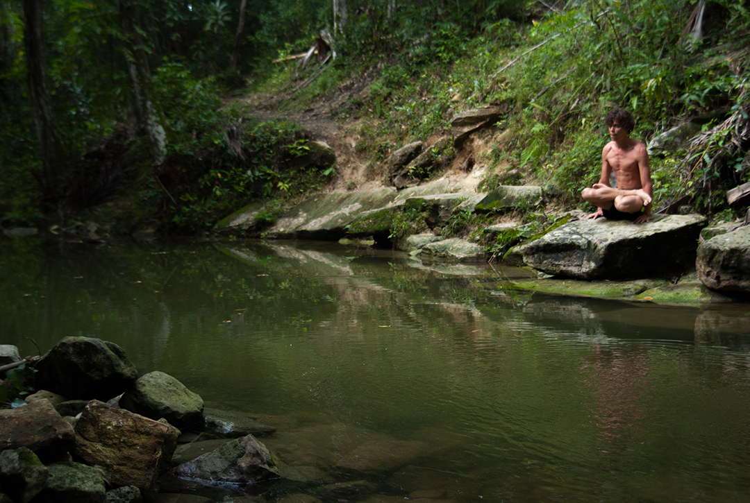 5 El Mamoncillo_Portada