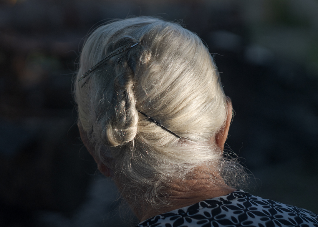 FOTO_2 Pelo de plata_Portada