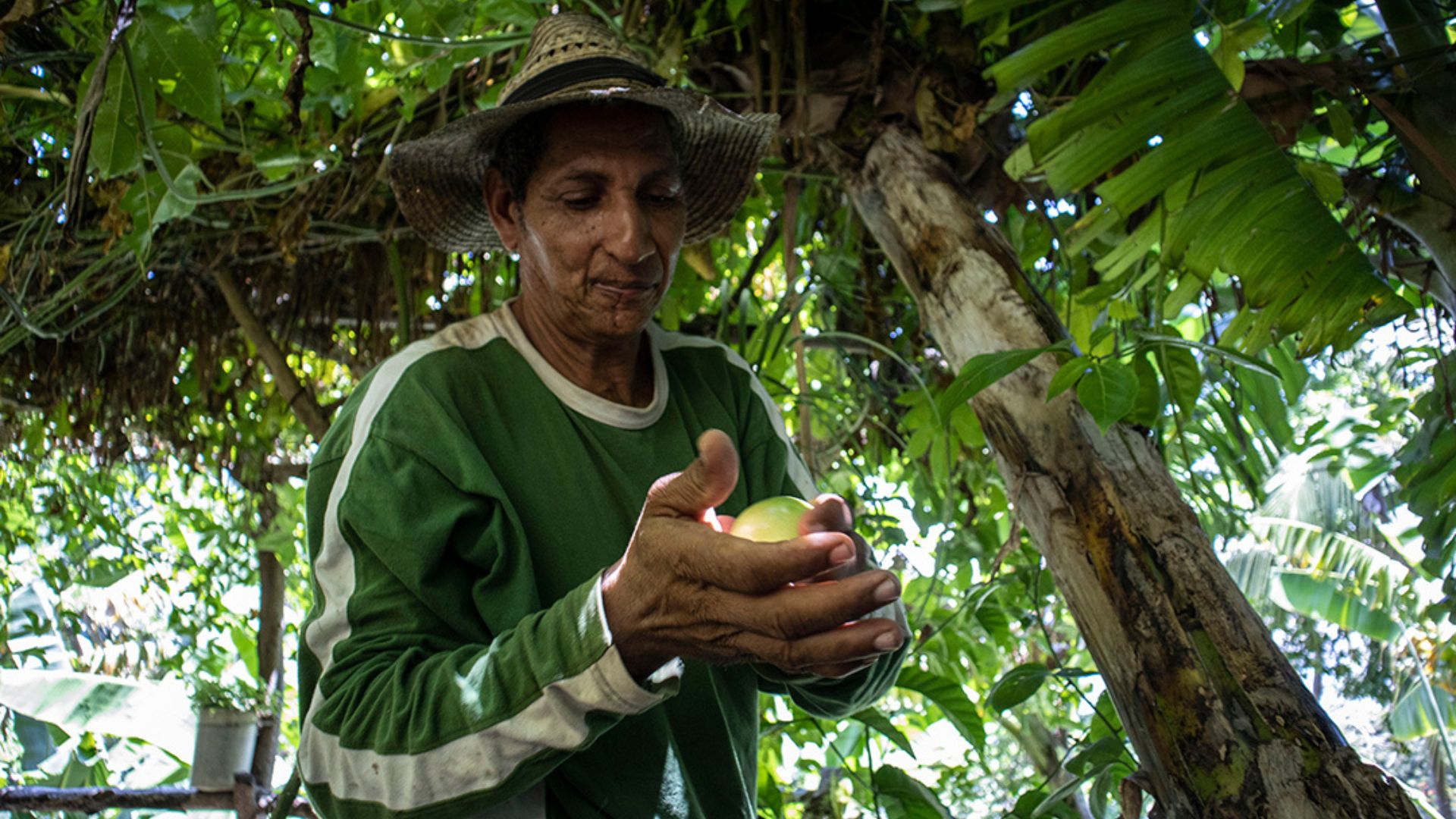 El Rincón del Cristo_portada