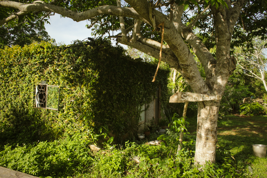 La cabaña de Elisa (Foto: Lien Villavicencio Cabrera).