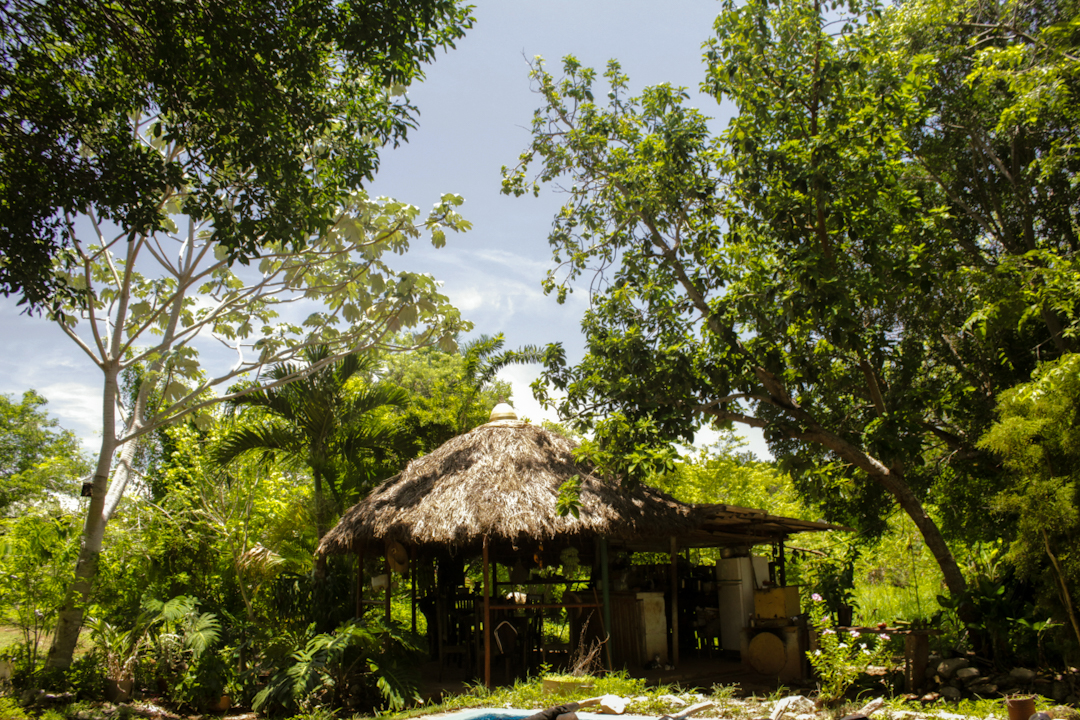 El rancho de la cocina (Foto: Lien Villavicencio Cabrera).