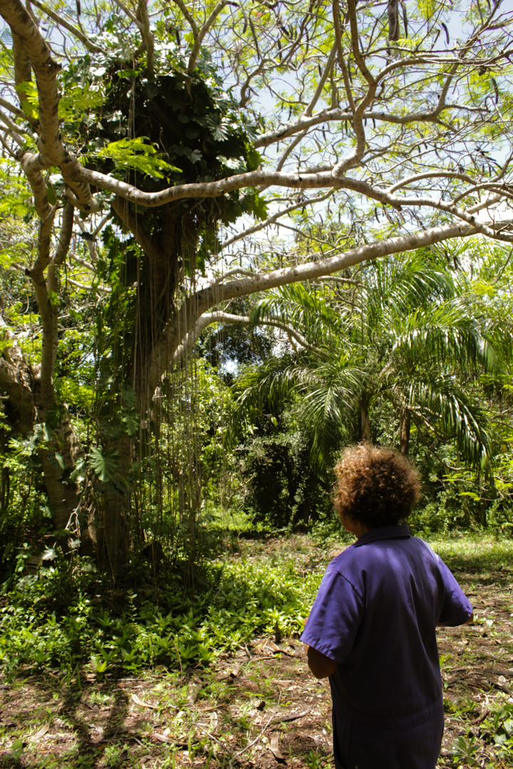 Elisa frente a uno de los primeros árboles que sembró (Foto: Lien Villavicencio Cabrera).