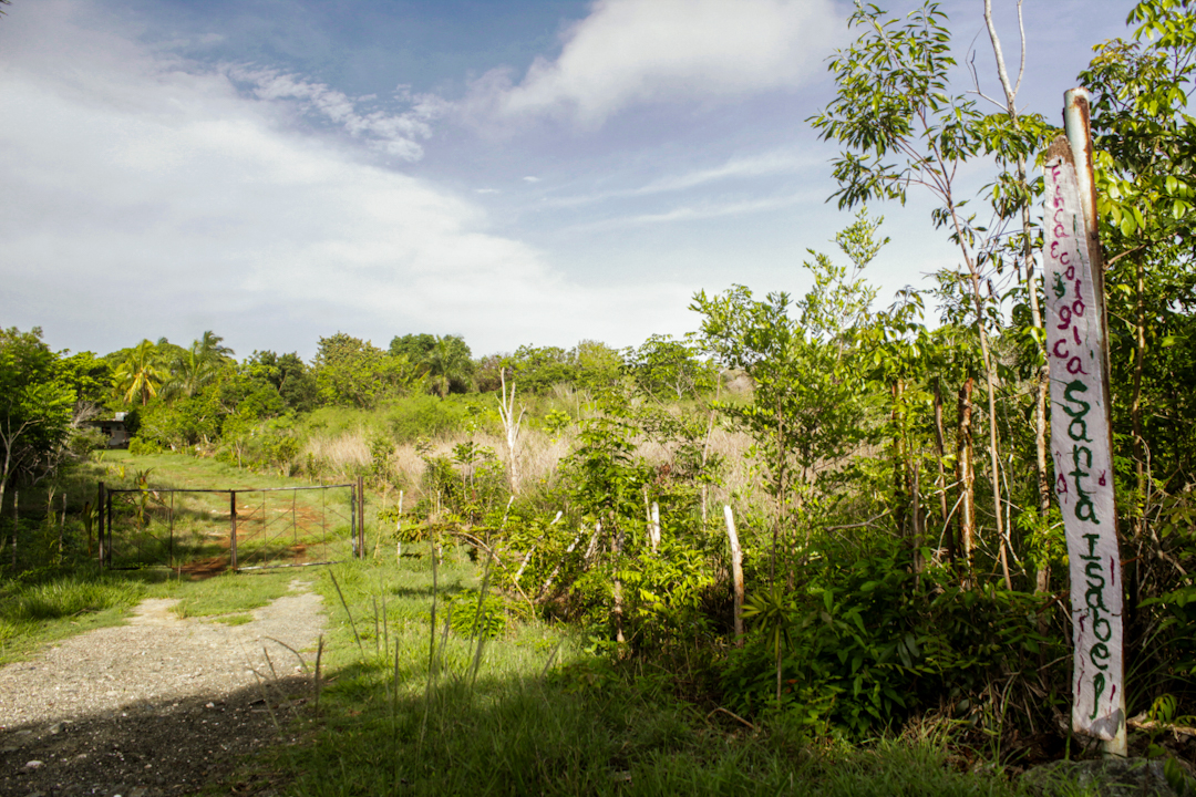 Entrada a la Finca desde la carretera (Foto: Lien Villavicencio Cabrera).