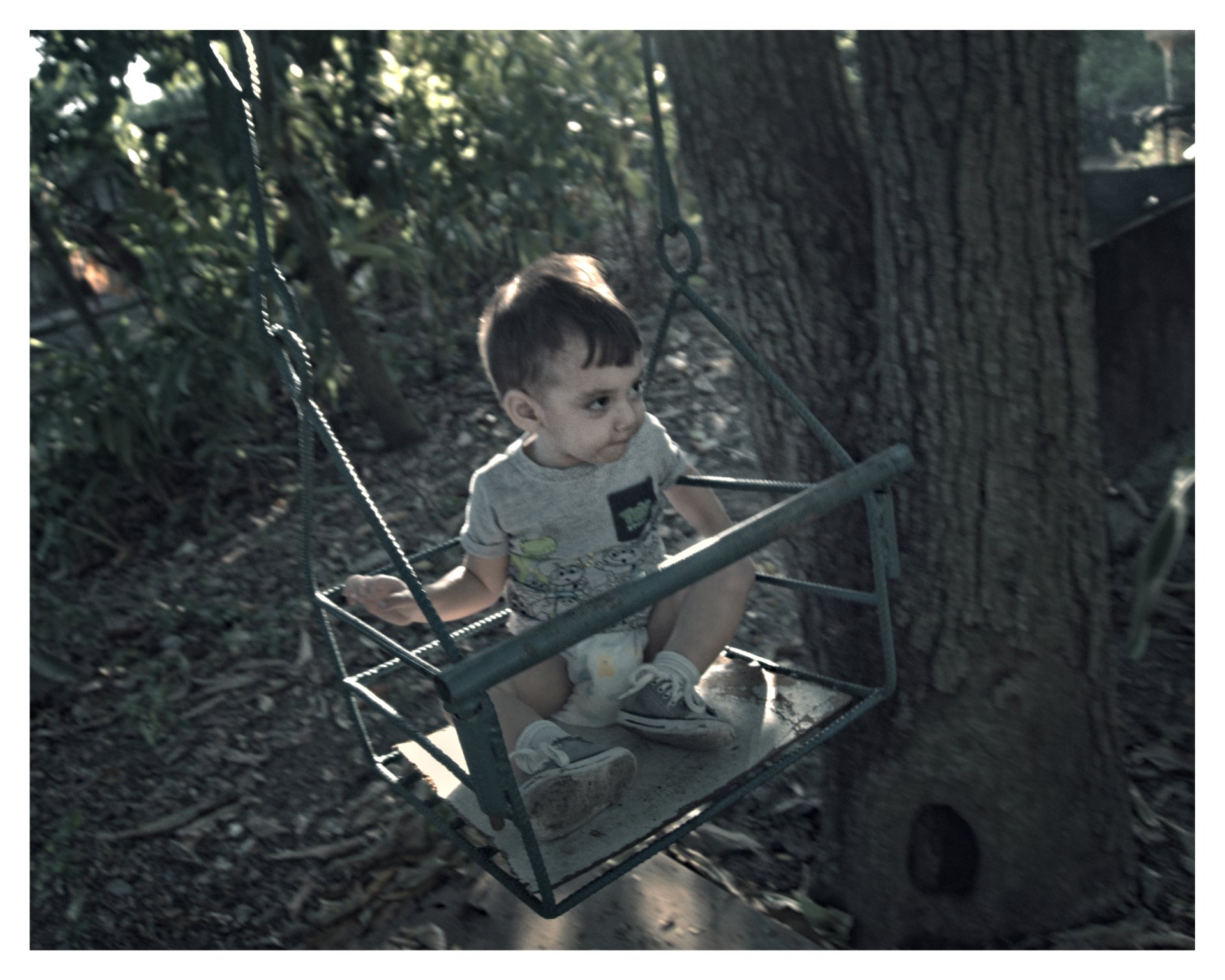 Niño pequeño sentado en un columpio metálico colgado de un árbol, en medio de un entorno natural.