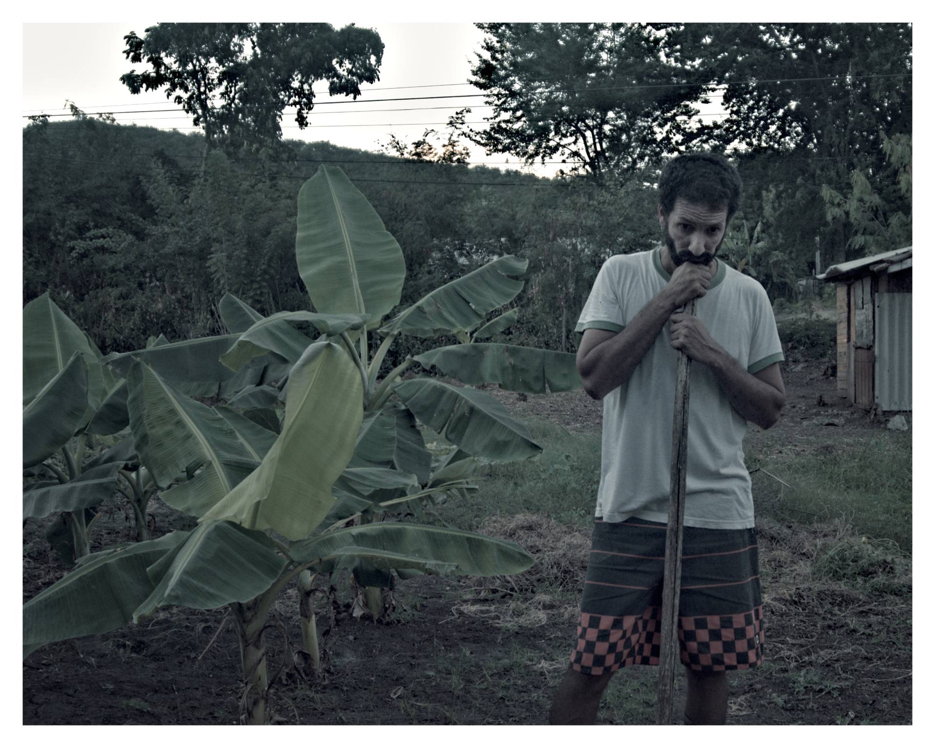 Hombre de pie junto a un platanal joven, apoyado en un palo de madera, en un entorno rural en Santiago de Cuba.