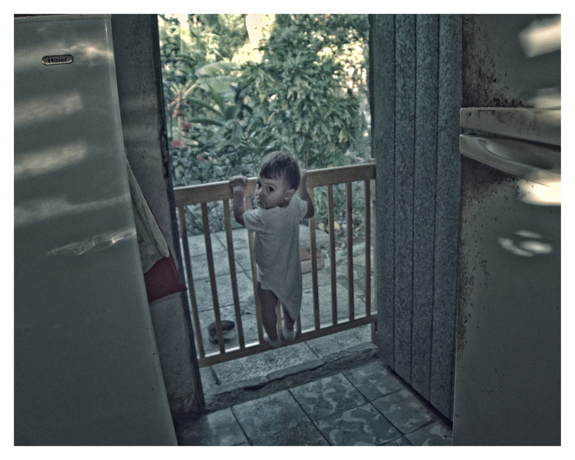 Niño pequeño de pie sobre una reja de madera, mirando hacia la cámara, con un jardín verde al fondo.