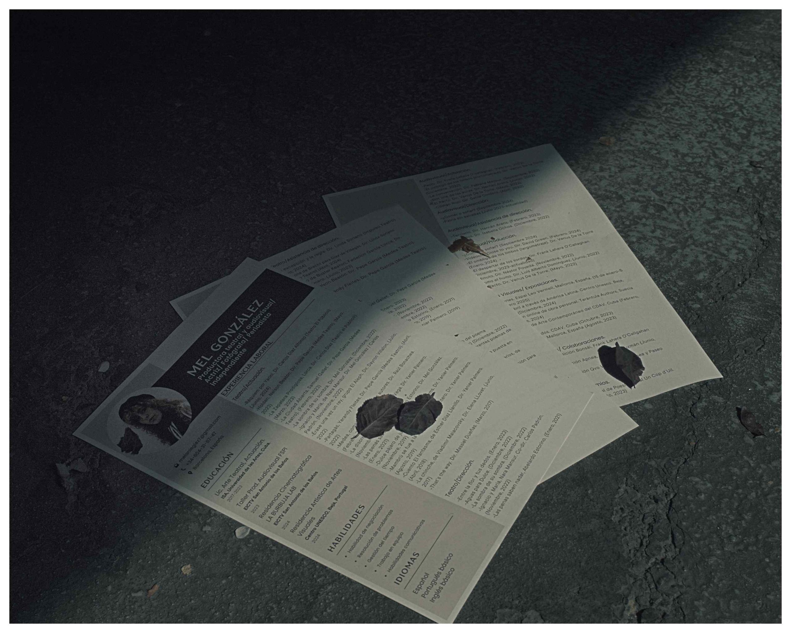 Currículums tirados en el suelo, cubiertos parcialmente por hojas secas.