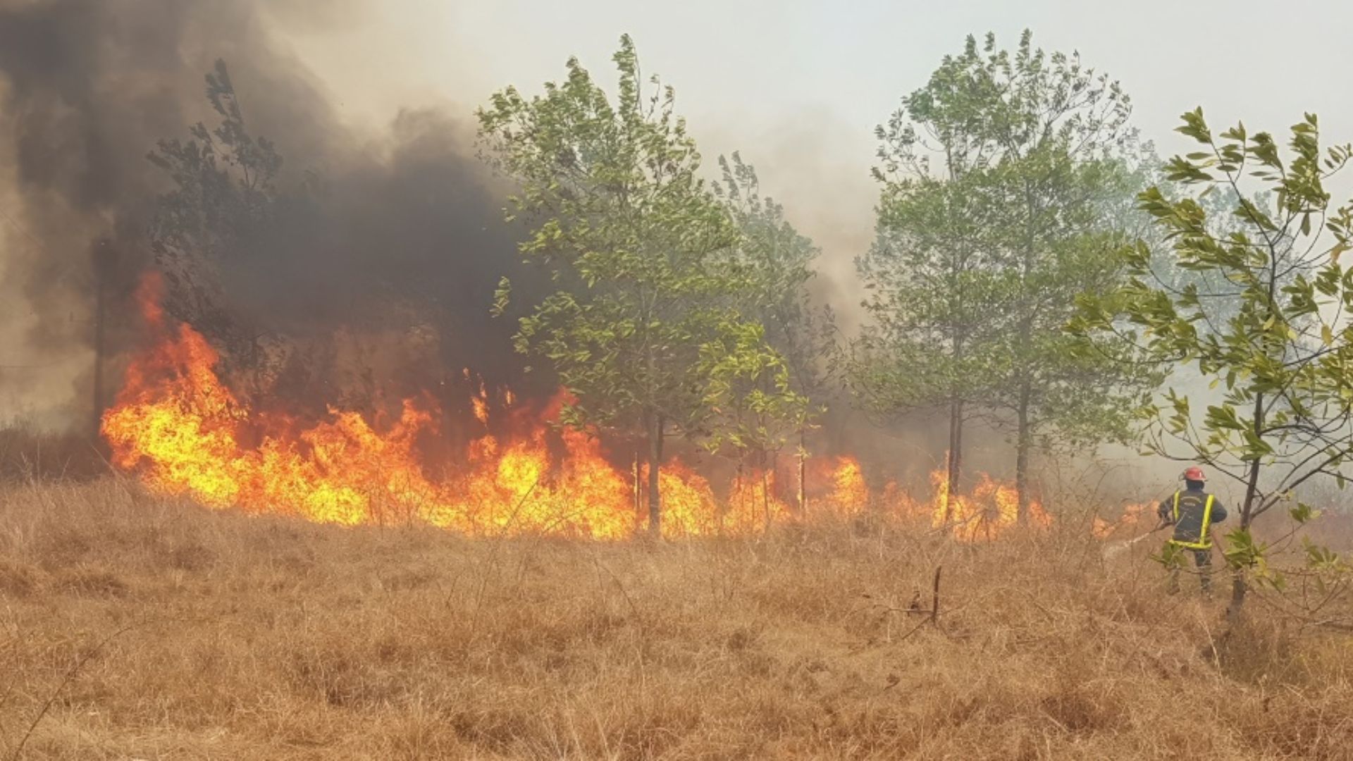 incendios forestales en cuba