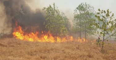 incendios forestales en cuba