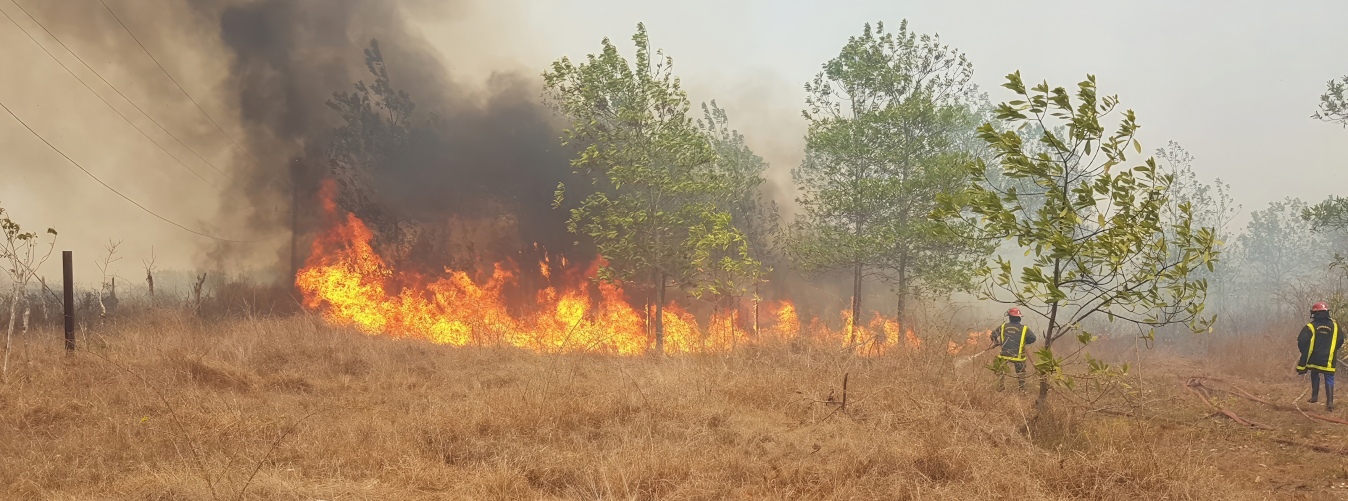 incendios forestales en cuba