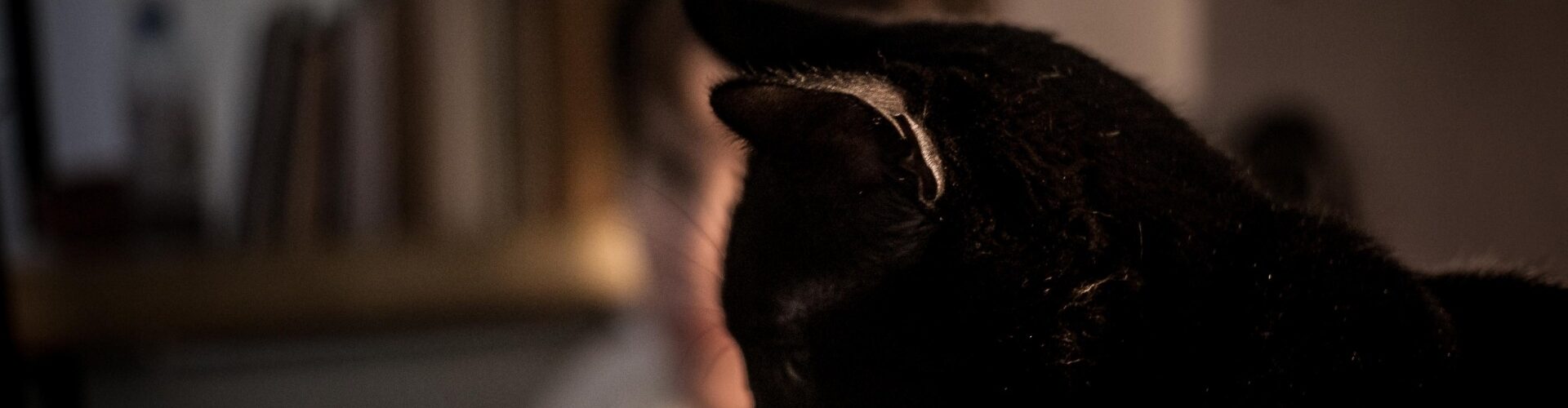 Lucía, migrante cubana en Argentina. Foto: Ella Fernández.