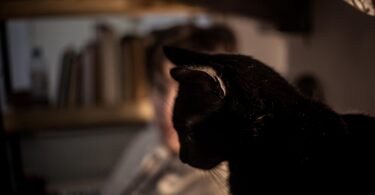 Lucía, migrante cubana en Argentina. Foto: Ella Fernández.