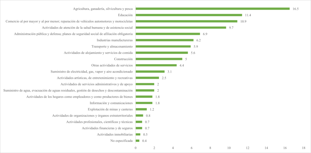 Distribución de los trabajadores por sectores de actividad (en porcentaje del total). 