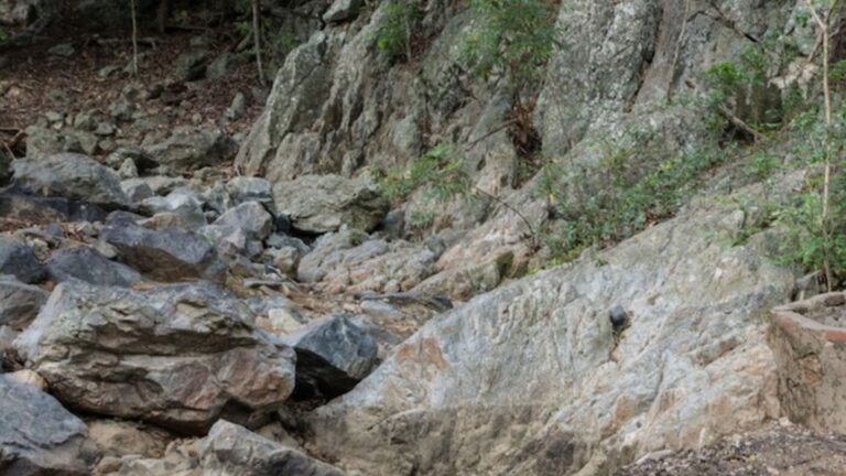 Nicolasa, Marielena y el pozo