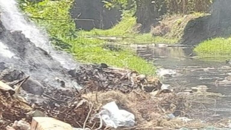 Toda la cagazón viene pal río La contaminada cuenca Gascón