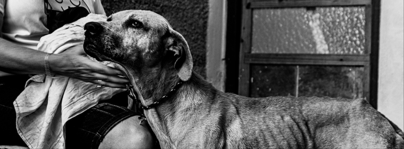 2025_Portada-web-1-1