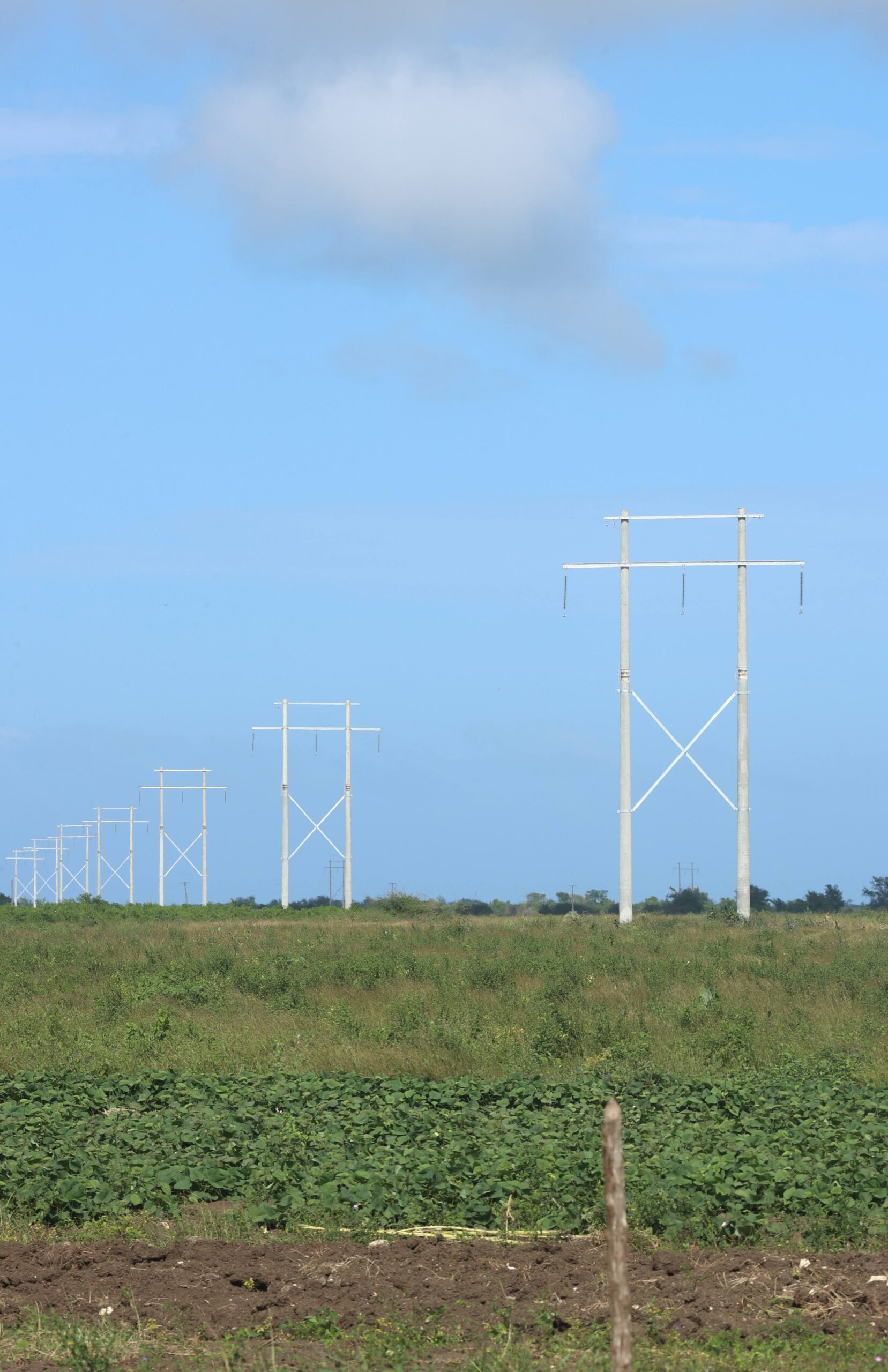 New electricity lines slice through the rural landscape of Herradura.